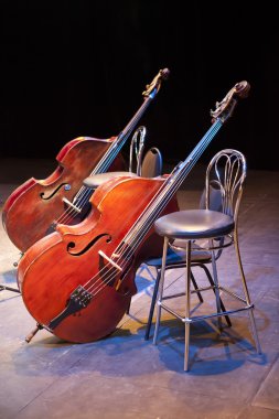 Contrabasses bir konser salonu sahnesinde 