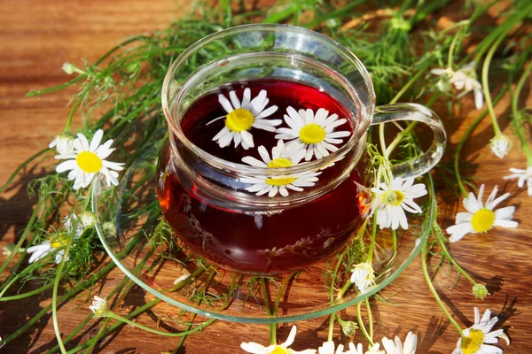 Xícara de chá de ervas com flores de camomila — Fotografia de Stock