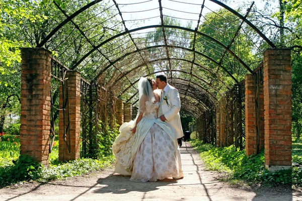 Wedding. Kissing couple — Stock Photo, Image