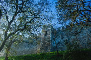 Sabah eski bir ortaçağ Portekiz kalesinde ağaçlarla çevrili.