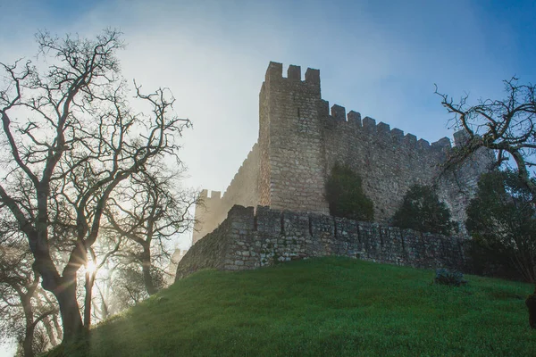 Nebliger Morgen Einer Alten Mittelalterlichen Portugiesischen Burg Umgeben Von Bäumen — Stockfoto