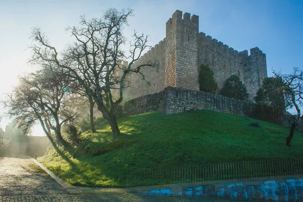 Ağaçlarla çevrili eski bir ortaçağ Portekiz kalesinde sisli bir sabah.