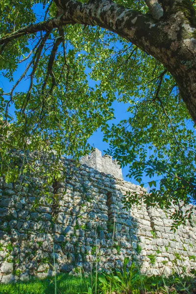 Vista Sobre Castillo Medieval Portugués Pared Través Ramas Árbol — Foto de Stock