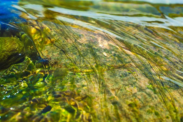 夏天用海藻和泡沫形成的清澈的小瀑布 — 图库照片