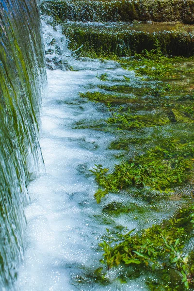 Pequena Cachoeira Clara Com Algas Marinhas Espuma Verão — Fotografia de Stock