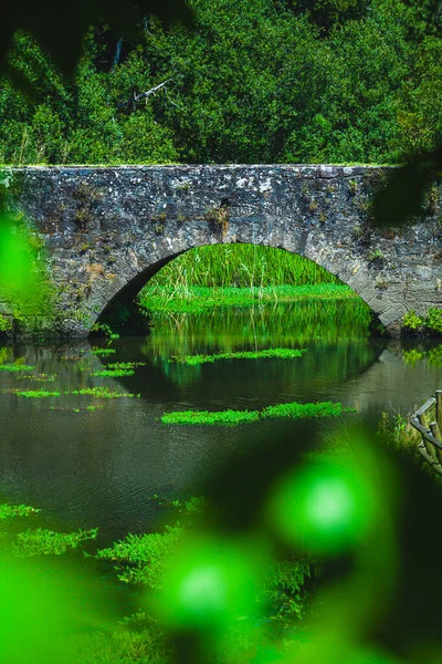 Старинный Средневековый Каменный Мост Через Озеро Португалии Летом — стоковое фото