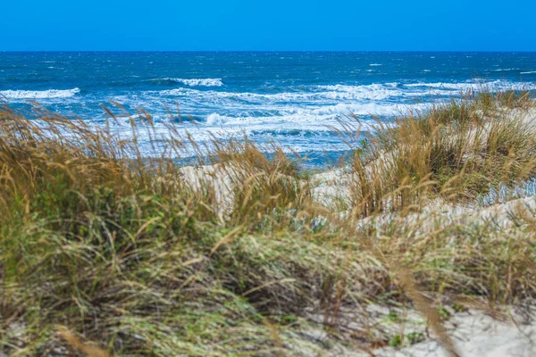 Begroeid Met Grasduinen Van Atlantische Oceaan Aan Kust Van Portugal — Stockfoto