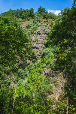 Portekiz 'in merkezinde güneşli bir günde vadiden dağa manzara
