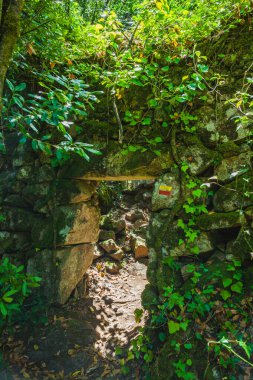 Portekiz 'in orta kesimindeki ormanlarda gizlenmiş taş bir evin kalıntıları.