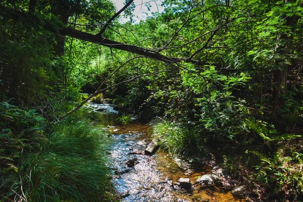 葡萄牙中部一条小山溪上的水流 — 图库照片