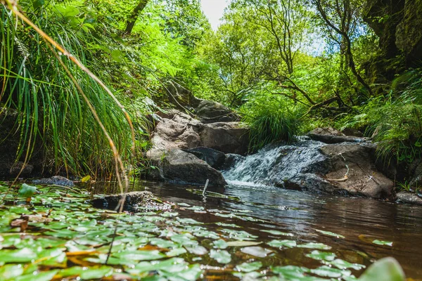 葡萄牙中部山区一条小河上的瀑布 — 图库照片