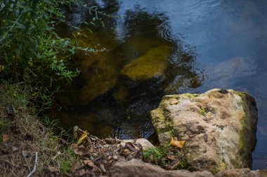 Sakin bir nehir yavaşça akar, yüzeyi sarkan yeşil ağaçların yansımaları ve yumuşak, bulutlu gökyüzü ile dalgalanır..
