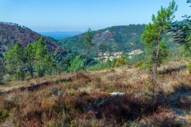 Kuru, fundalıklarla kaplı bir tepeden panoramik bir manzara, açık mavi gökyüzünün altındaki ormanlı dağlarla çevrili yeşil bir vadide yuva yapmış küçük bir köy gösteriyor.