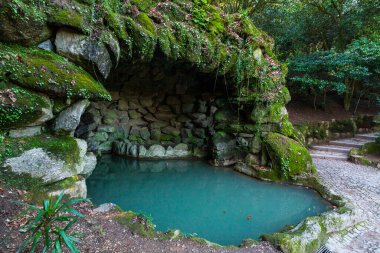 Sakin, turkuaz bir havuz, yosun kaplı kayalar ve taş duvarlardan oluşan bir mağaranın içine yerleşmiş ve kaldırım taşı yolu, dingin, ormansı bir bahçeye çıkan basamaklara çıkıyor.