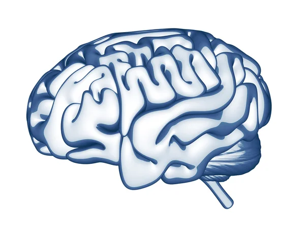 Cerebro humano abstracto — Foto de Stock