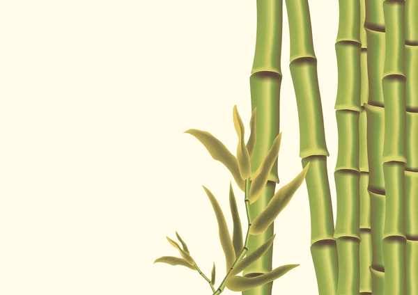 Bambù — Vettoriale Stock