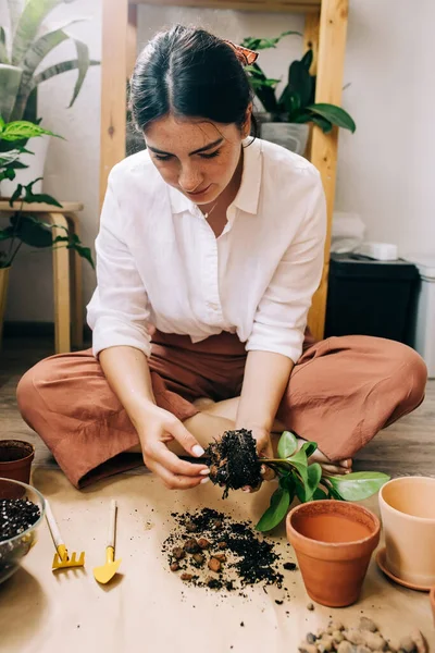 Woman Replanting Plant — Stock Photo, Image