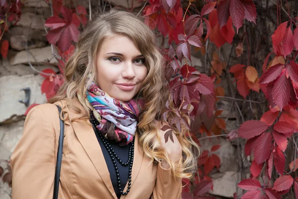 Joven hermosa mujer en el parque de otoño —  Fotos de Stock