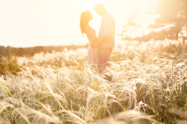 Casal amoroso beijando ao pôr do sol, foco em primeiro plano — Fotografia de Stock