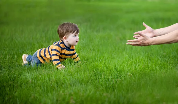 Filho rastejando em seus pais mãos em grama verde — Fotografia de Stock