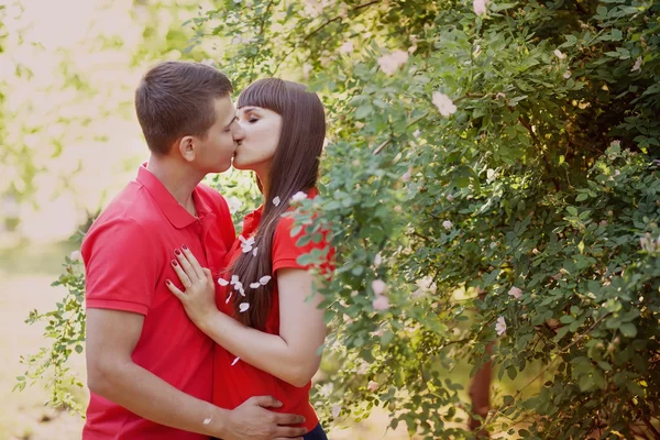 Happy couple kissing in nature — Stock Photo, Image