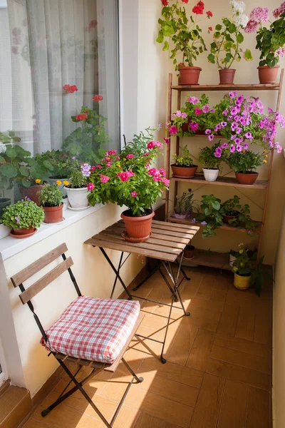 Балкон с небольшим столом, стулом и цветами . — стоковое фото