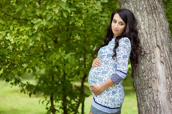 Schöne schwangere Frau in einem Park — Stockfoto