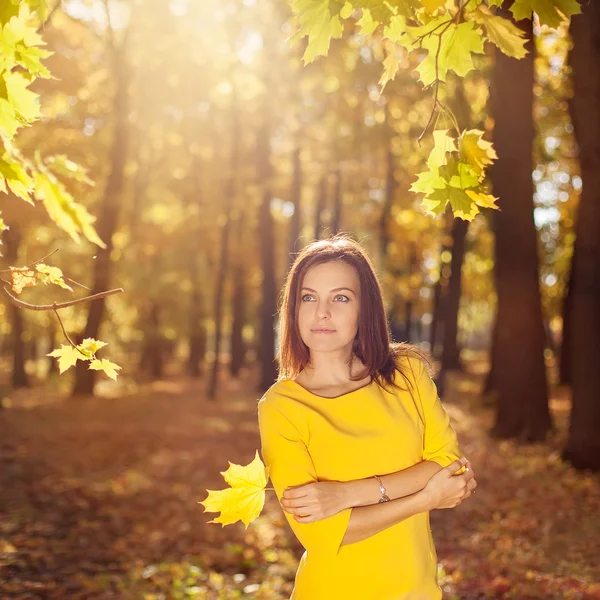 Giovane donna in abito giallo con foglie autunnali in mano e acero giallo autunno giardino sfondo — Foto Stock