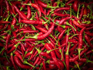 Chilies clipart