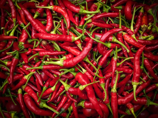 Chilies — Stock Photo, Image