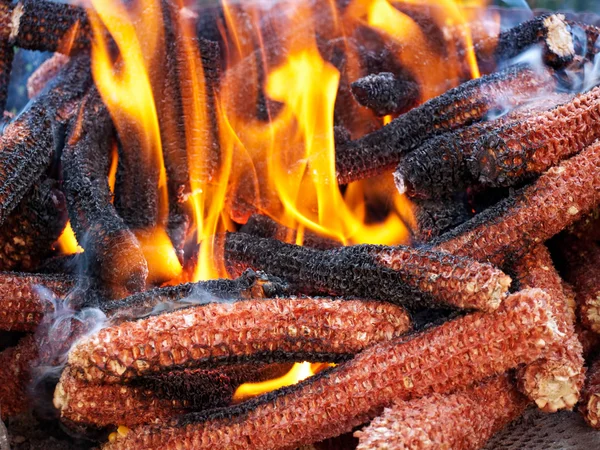 Combustible de maíz — Foto de Stock