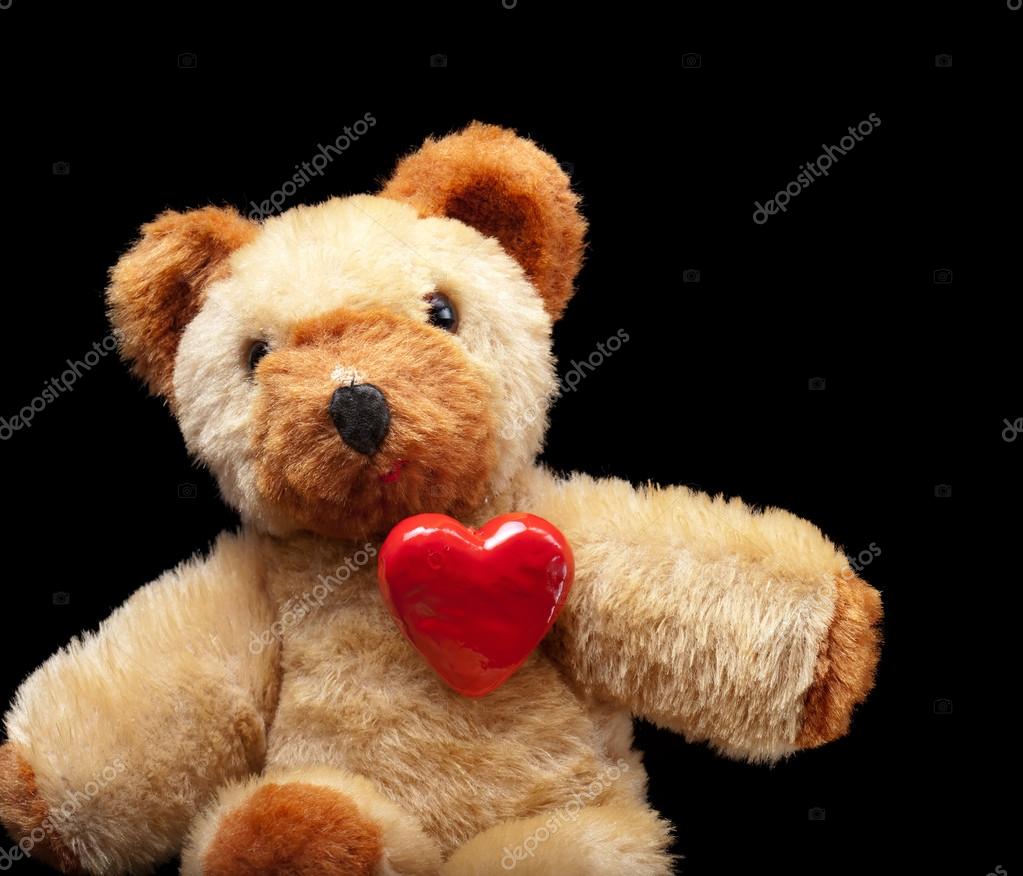 teddy lover
