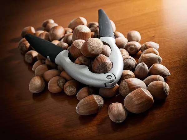 Hazelnuts — Stock Photo, Image