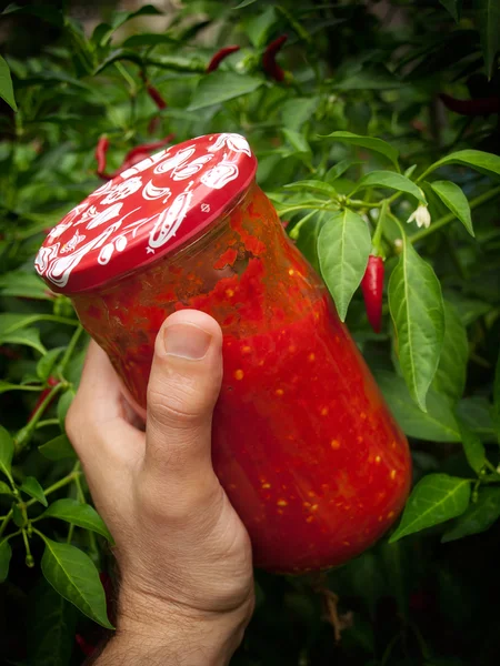 My chili jar — Stock Photo, Image