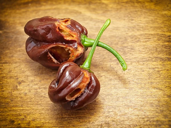 Pest attack on Habaneros — Stock Photo, Image