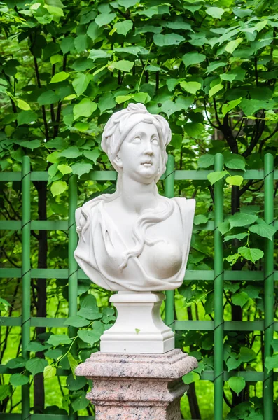 サンクトペテルブルクでの夏の庭の Anticient 像 — ストック写真