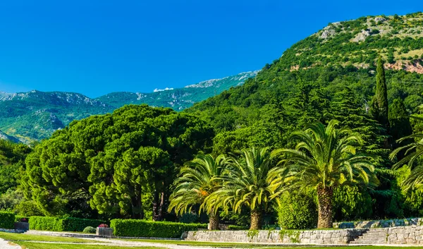 Blick auf Park und Berge in Montenegro — Stockfoto