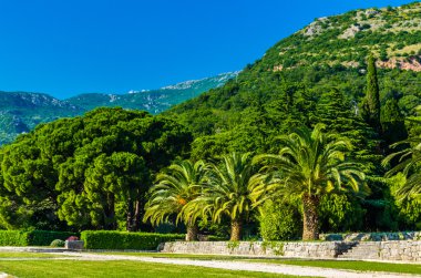 park ve Karadağ'daki dağlar görüntüleyin