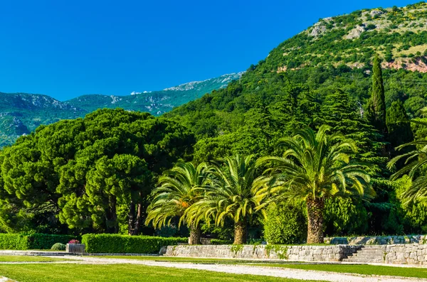 View on park and mountains in Montenegro — Stock Photo, Image