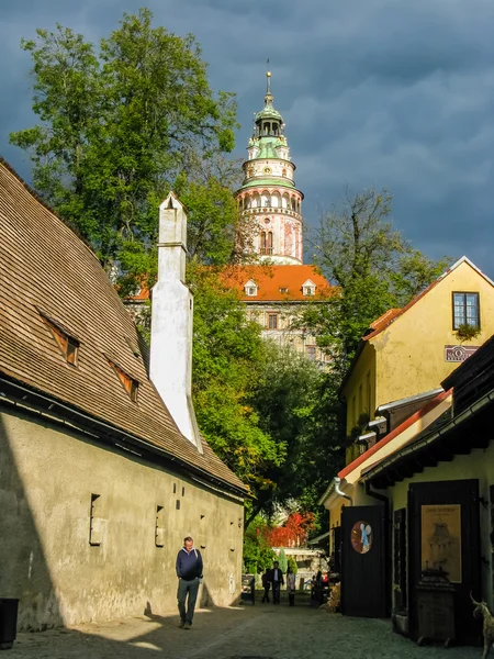 Visa på slottet och röda tak i Cesky Krumlov — Stockfoto