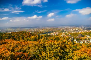 Orman ve Carlovy üst görünümü sonbahar değişir