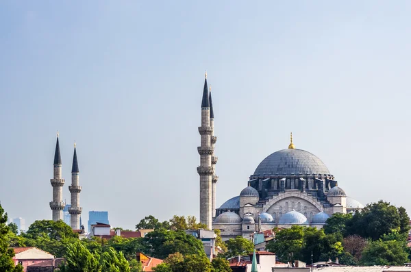 Visa på moskén i Istanbul — Stockfoto