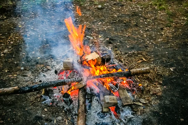 Fuego en el bosque — Foto de Stock