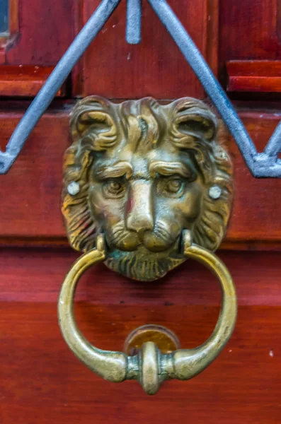 Puerta vieja con la cabeza del león knoker —  Fotos de Stock