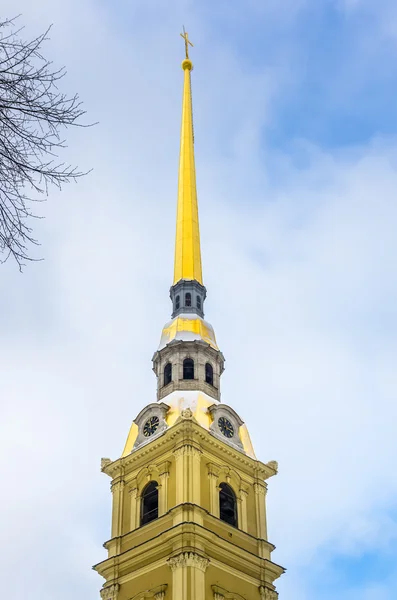 Vista de la Catedral de Pedro y Pablo en invierno — Foto de Stock