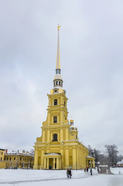 Vista de la Catedral de Pedro y Pablo en invierno — Foto de Stock