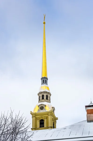 Vista sobre a Catedral de Pedro e Paulo no inverno — Fotografia de Stock