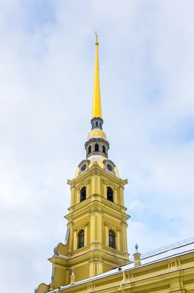 Вид на Петропавловский собор зимой — стоковое фото