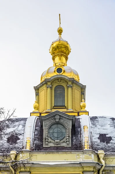 Вид на Петропавловский собор зимой — стоковое фото