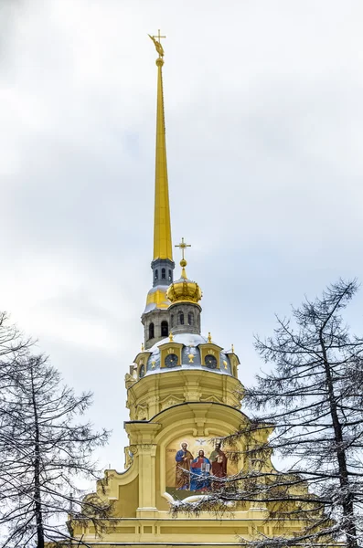 Zobacz na Paul Katedra w zimie — Zdjęcie stockowe